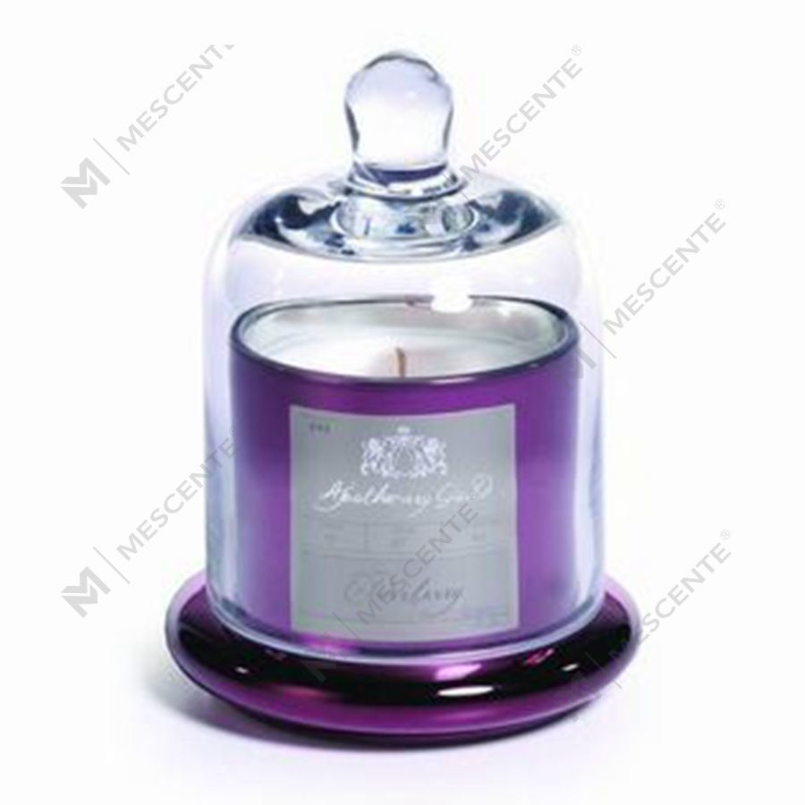 پوشش گنبدی نقره ای لوکس Mescente شیشه گنبدی جا شمعی معطر