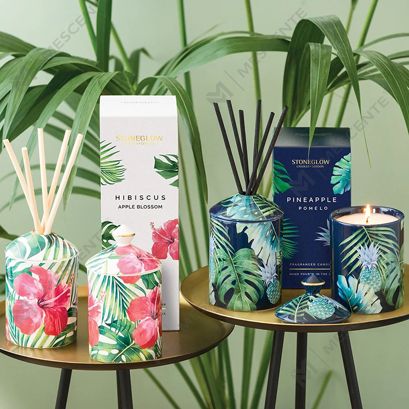 شمع لیوانی رنگ شهری بوتانیک شهری M&Scent با جعبه تاشو