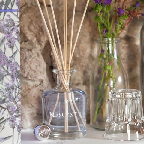 تفاوت بین پخش کننده عطر نی و رطوبت ساز